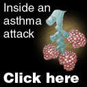 Link to Asthma infographic